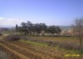 /album/resim-galerisi/a048-jpg/